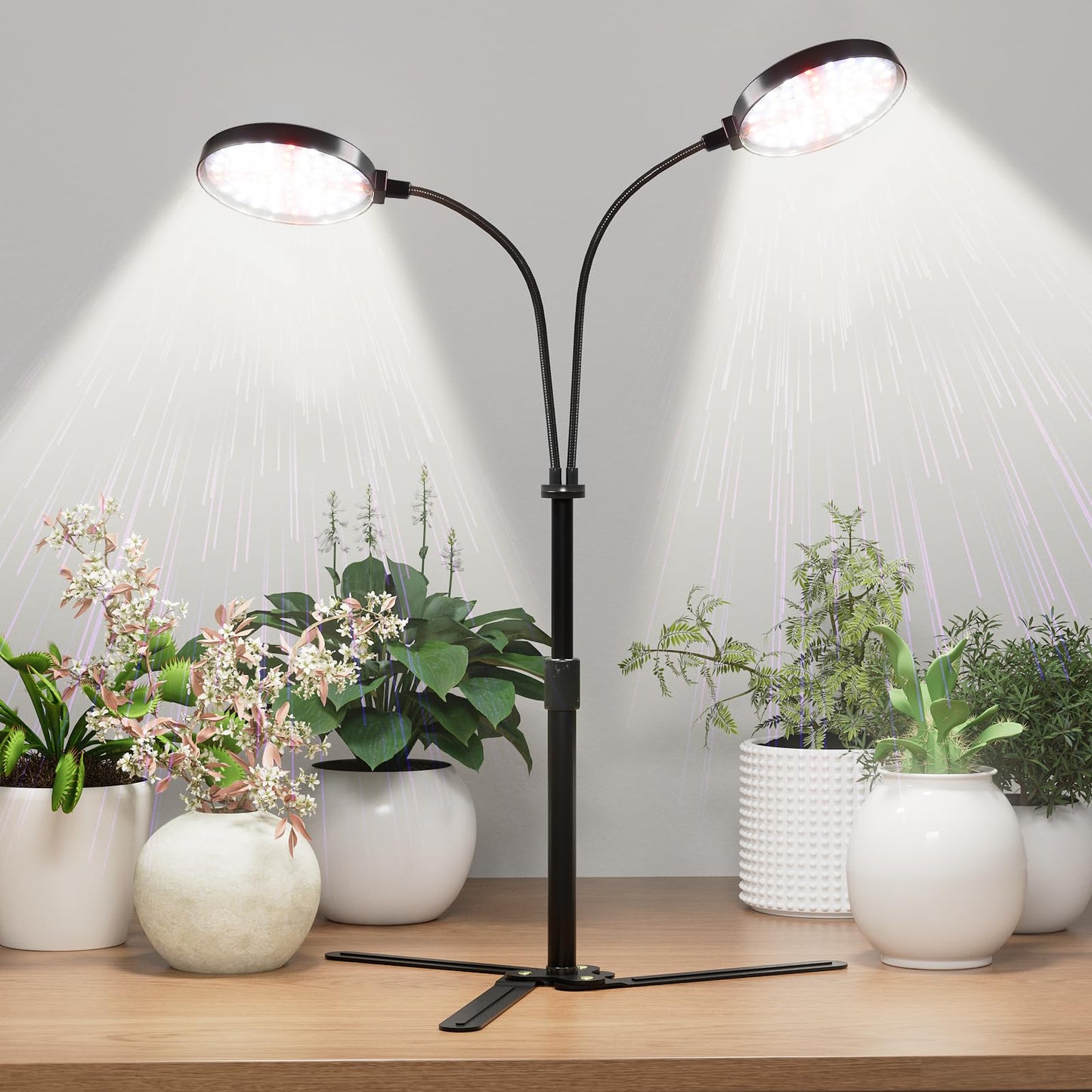 Norvo | Vekstlys for innendørs planter, 6000K fullspektrum plante lys for innendørs dyrking, 3.5'' LED dual ring vekstlys, høydeutvidbar 9-16'', automatisk på/av timing 4/8/12/18 timer (Svart)