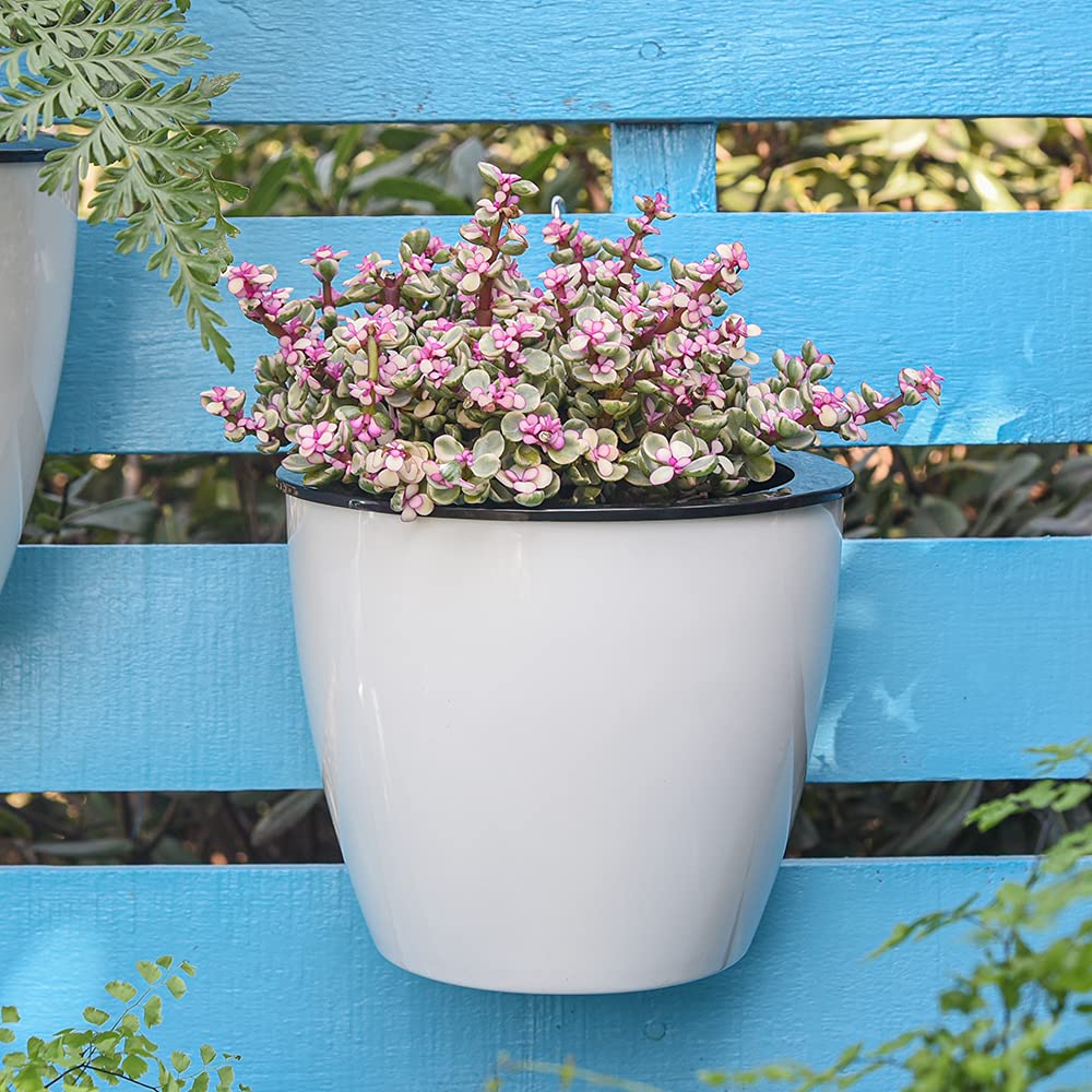 Norvo | Selvvannende hengende planterpotte – Moderne blomsterpotte for veggmontering