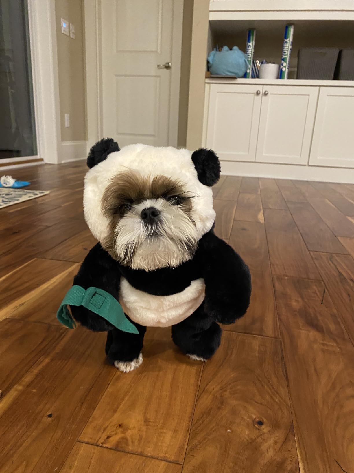 Norvo | Pandaloon Hund og Katt Kostyme Sett