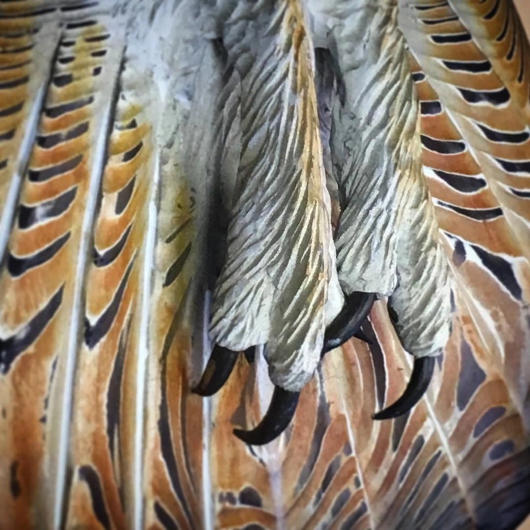 Norvo | Stor ugleblikk i kunstnerisk utgave