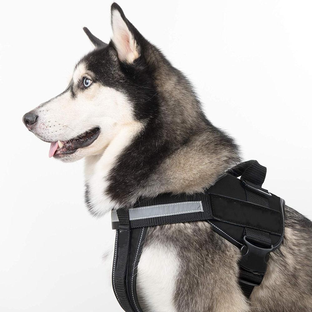 Norvo | All-in-One Ingen Dra Hundesele