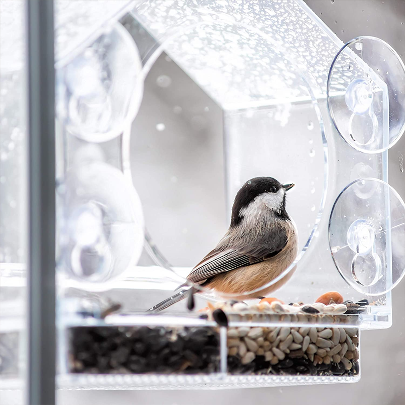 Norvo | Vindu Fuglemater Hus