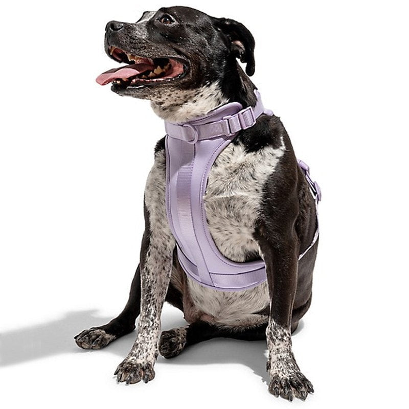 Norvo | Adjustable Dog Vest Harness with 3 Leash Clips