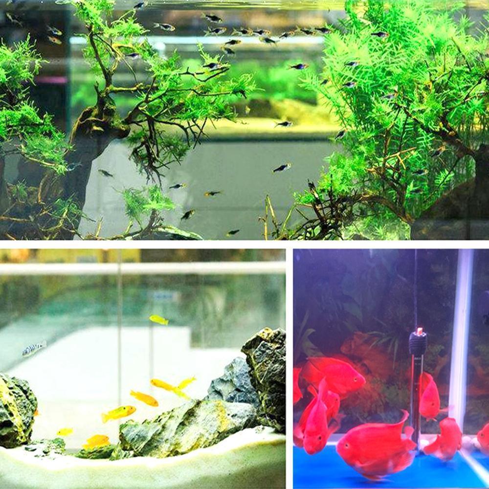 Norvo | Eco-Aquarium Vannrenser Kubus