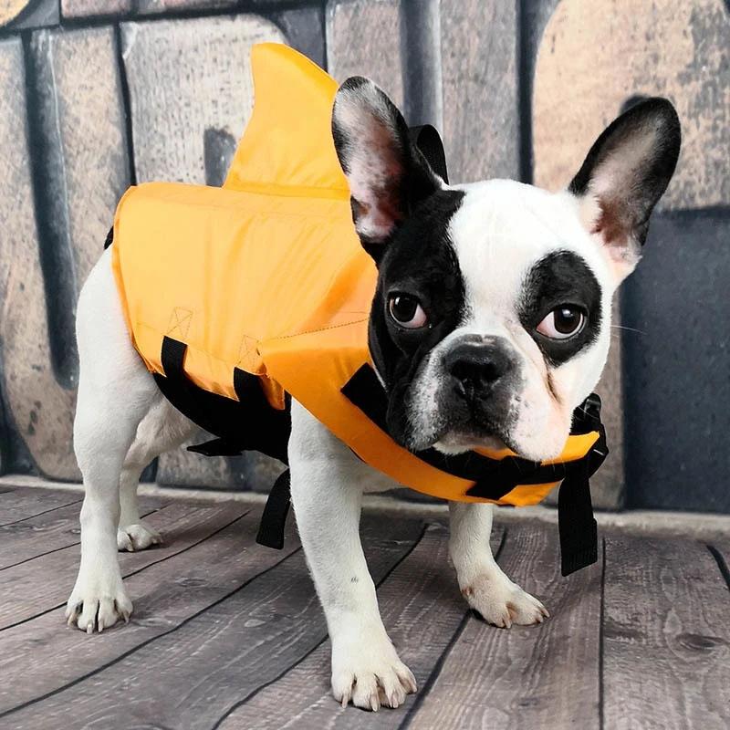 Norvo | Shark Livvest