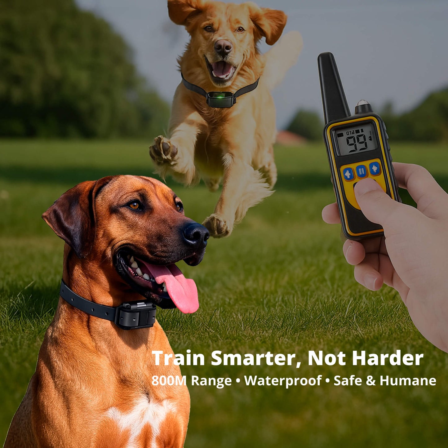 Norvo | 800M Oppladbar Elektrisk Hundetreningskrage | Vanntett, Fjernkontroll & Ideell for Effektiv Hundetrening