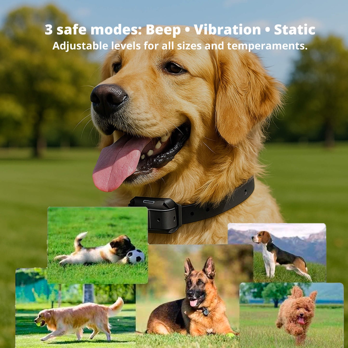 Norvo | 800M Oppladbar Elektrisk Hundetreningskrage | Vanntett, Fjernkontroll & Ideell for Effektiv Hundetrening