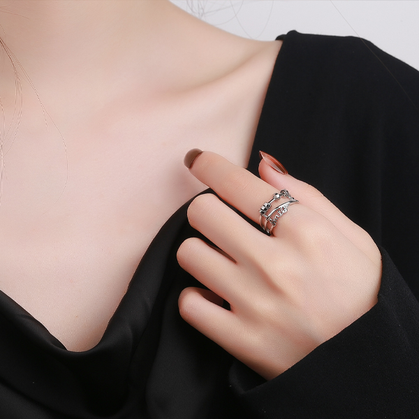 Norvo | 2022 Ny Stil Fidget Ring