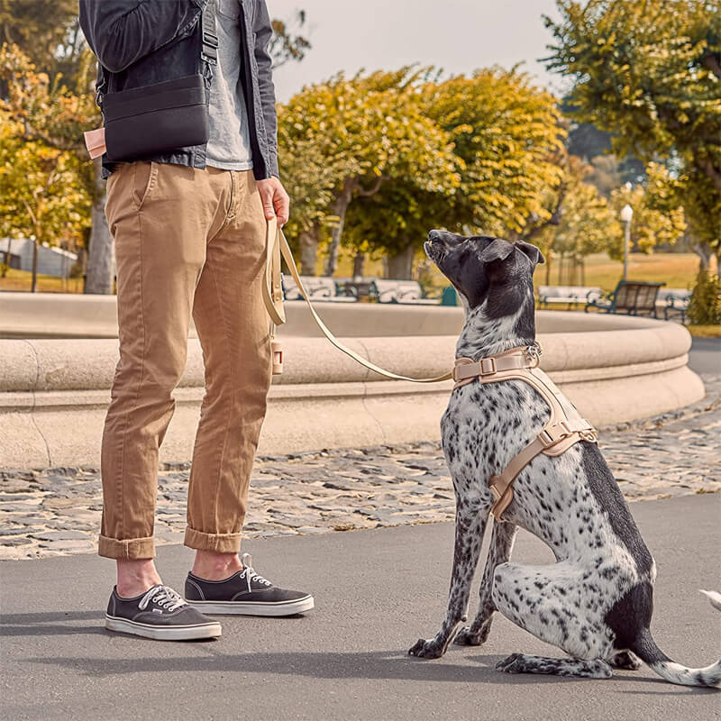 Norvo | Adjustable Dog Vest Harness with 3 Leash Clips