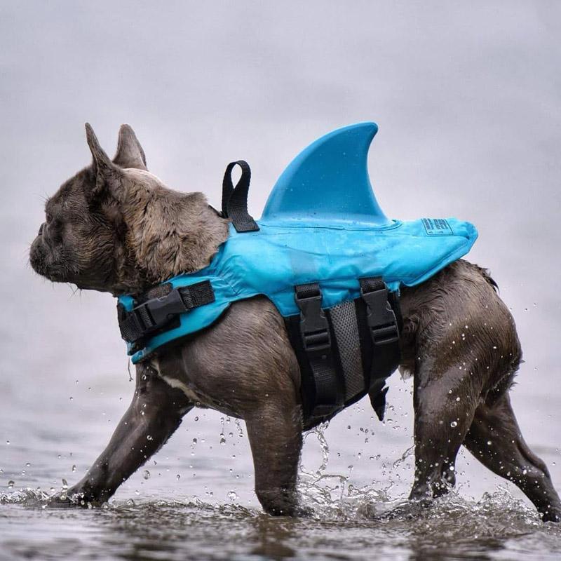 Norvo | Shark Livvest