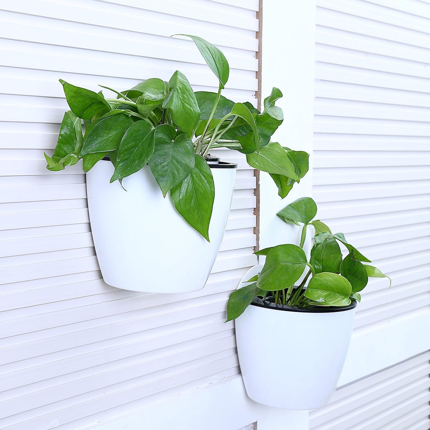 Norvo | Selvvannende hengende planterpotte – Moderne blomsterpotte for veggmontering