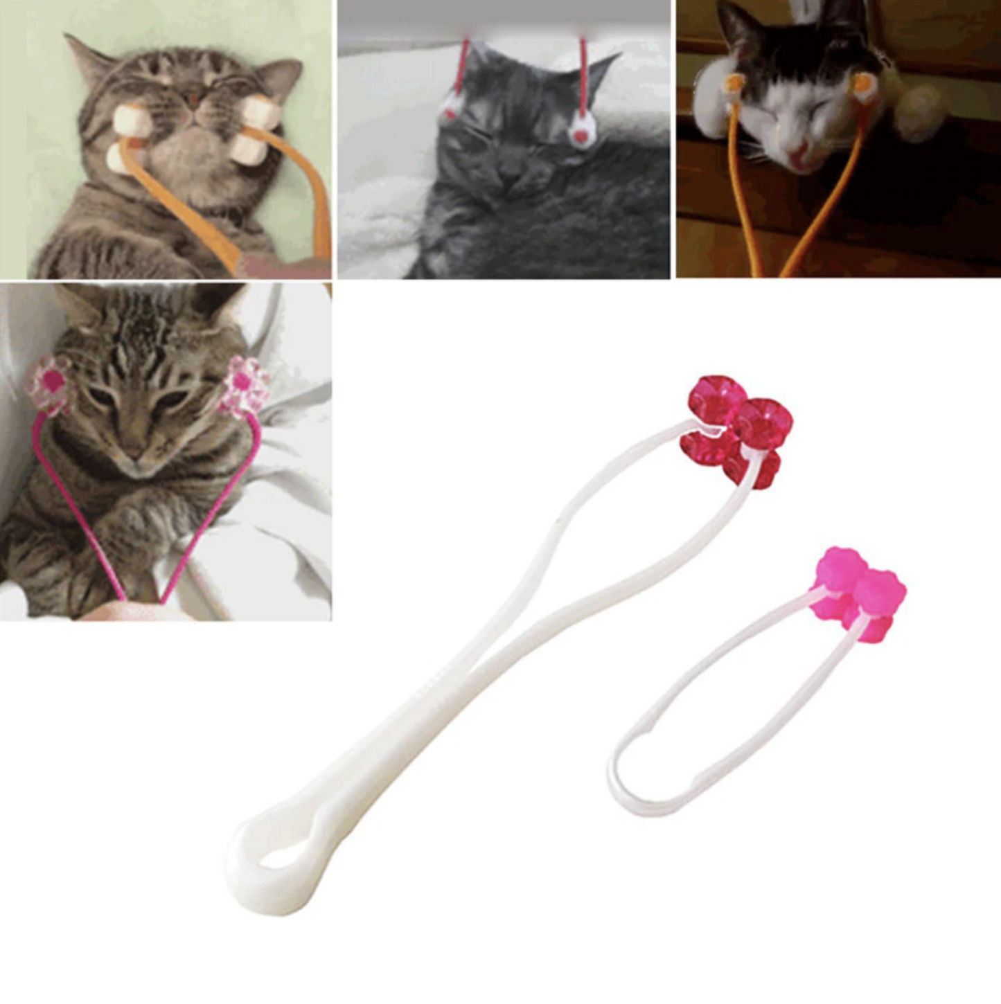 Norvo | PetSalon Katt Meldingsverktøy