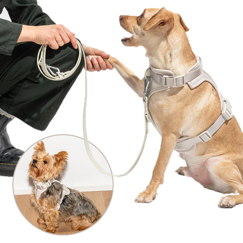 Norvo | Adjustable Dog Vest Harness with 3 Leash Clips