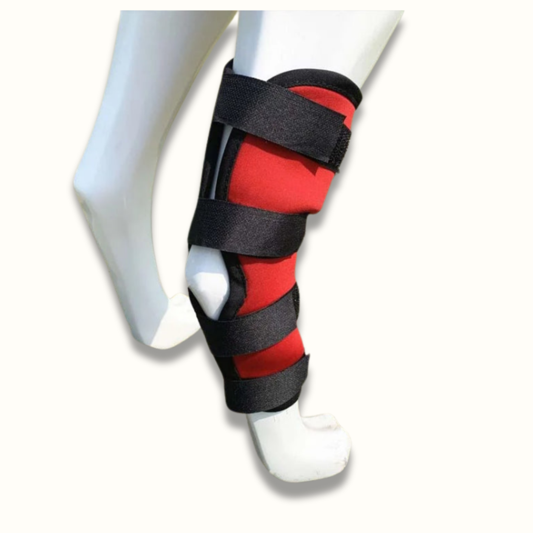 Norvo | PawBrace - Ortopedisk Hundebensbro