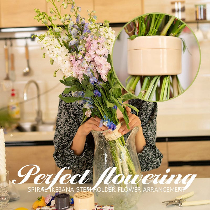 Norvo | Spiral Ikebana Stilkholder
