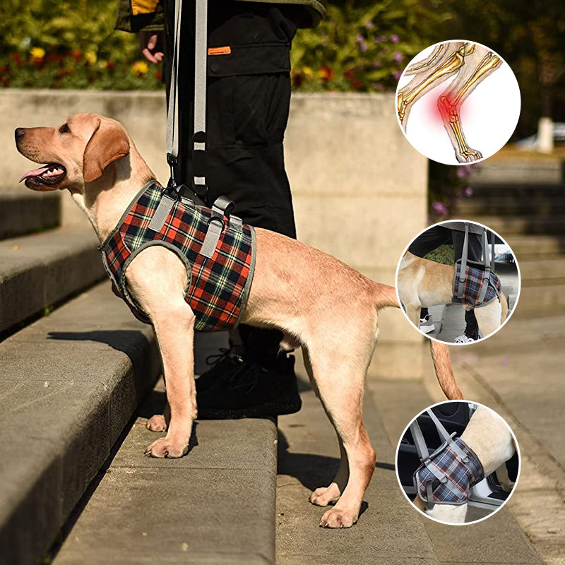 Norvo | Ortopedisk stropp for bakben