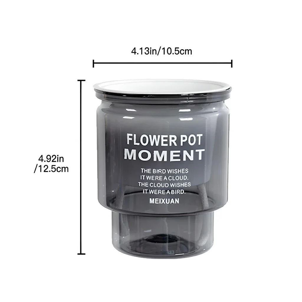 Norvo | Selvvannende Gjennomsiktig Saftig Plantekrukke