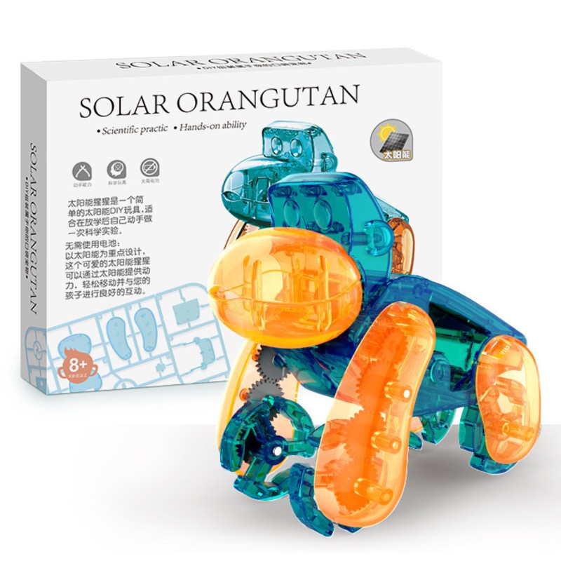 Norvo | Nyhet Kreativ Solsnail / Gorilla Utdanningsmonteringsleke, for gutter og jenter