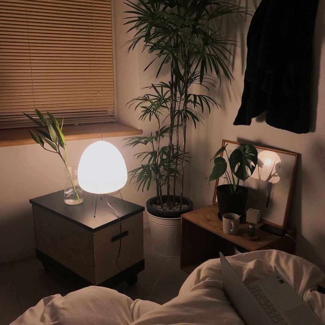 Norvo | Papir bordlampe