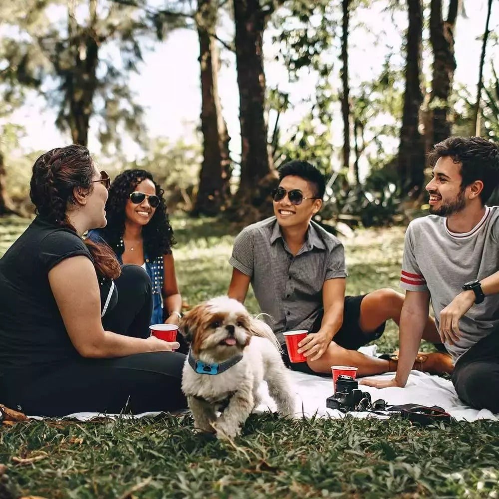 Norvo | Intelligent Anti-Bark Hundehalsbånd med Sonic Wave Teknologi og Justerbar Passform