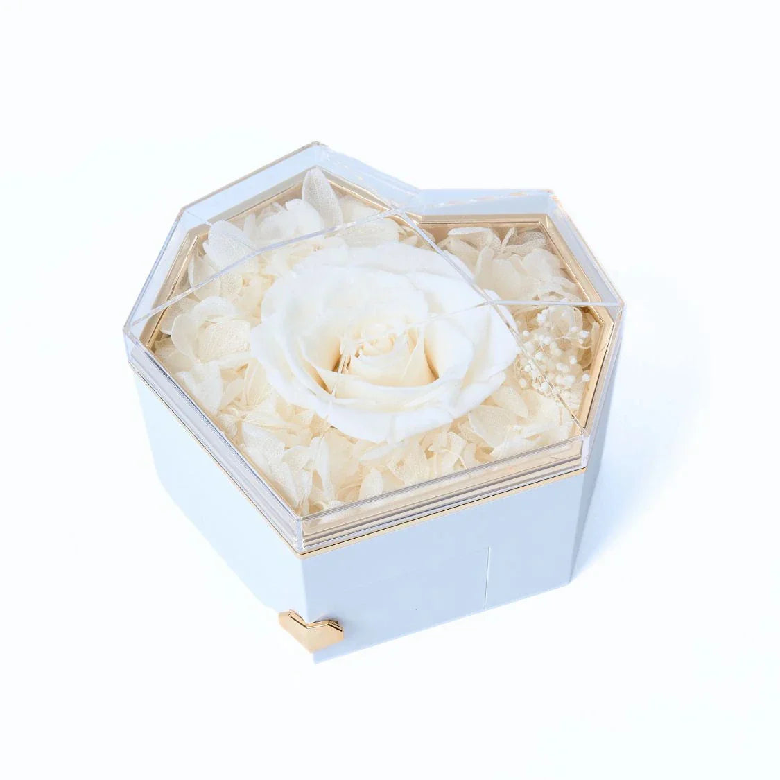 Norvo | CherishedHeart™ Uendelige Hjerte Skatter