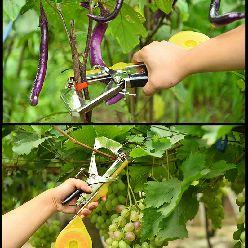 Norvo | Tie Machine for Garden Plants