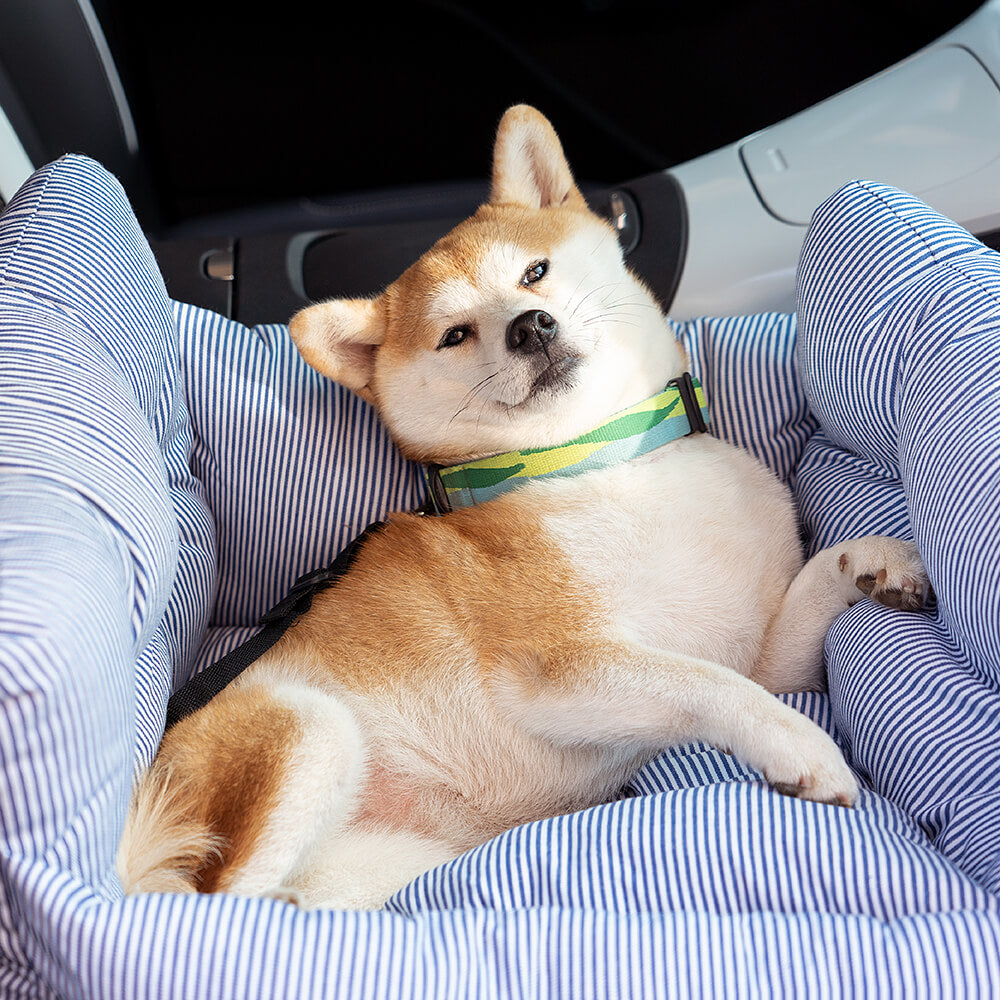 Norvo | Komfortabel Hundeseng for i Bilen - TravelPaw