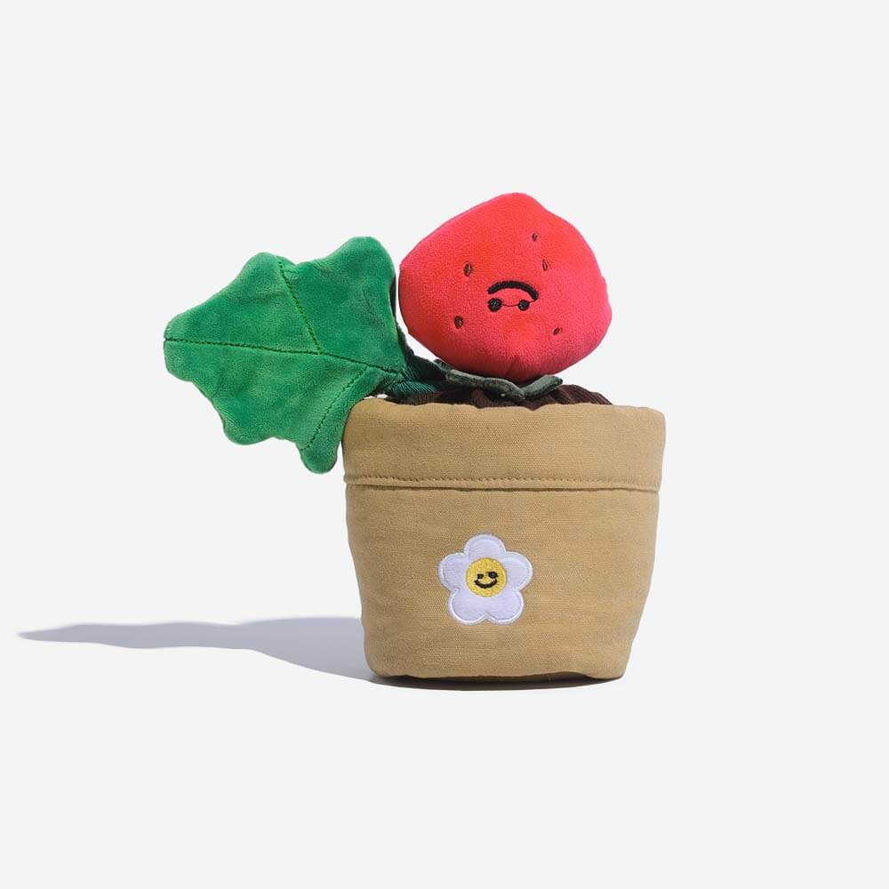 Norvo | Squeaky Dog Toy - Jordbærpotte