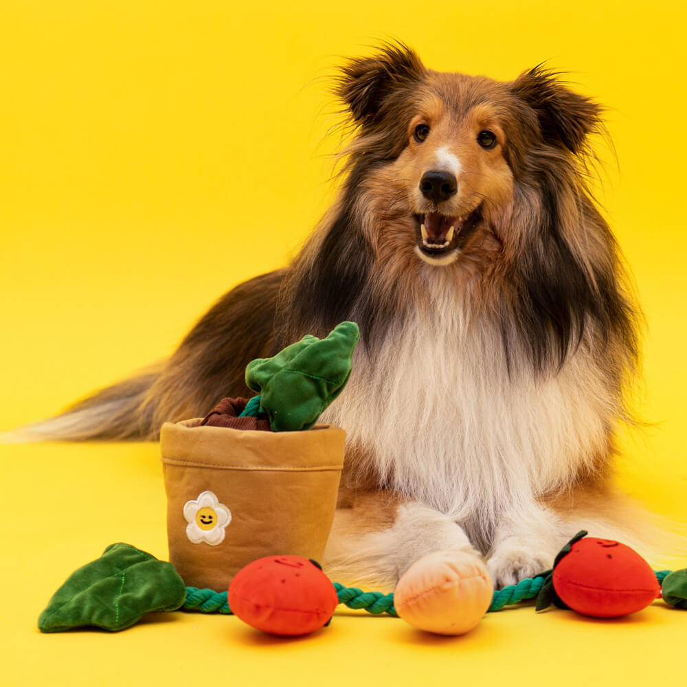 Norvo | Squeaky Dog Toy - Jordbærpotte