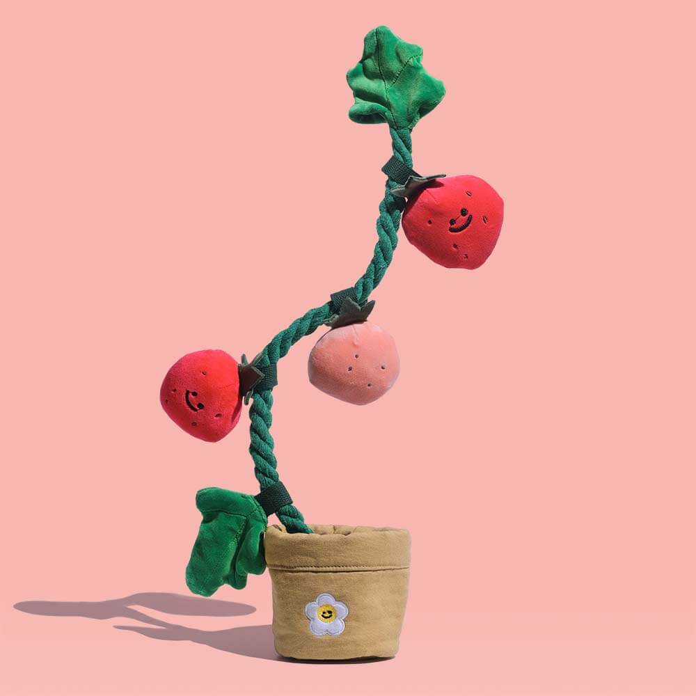 Norvo | Squeaky Dog Toy - Jordbærpotte