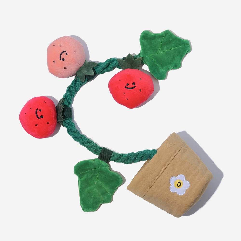 Norvo | Squeaky Dog Toy - Jordbærpotte