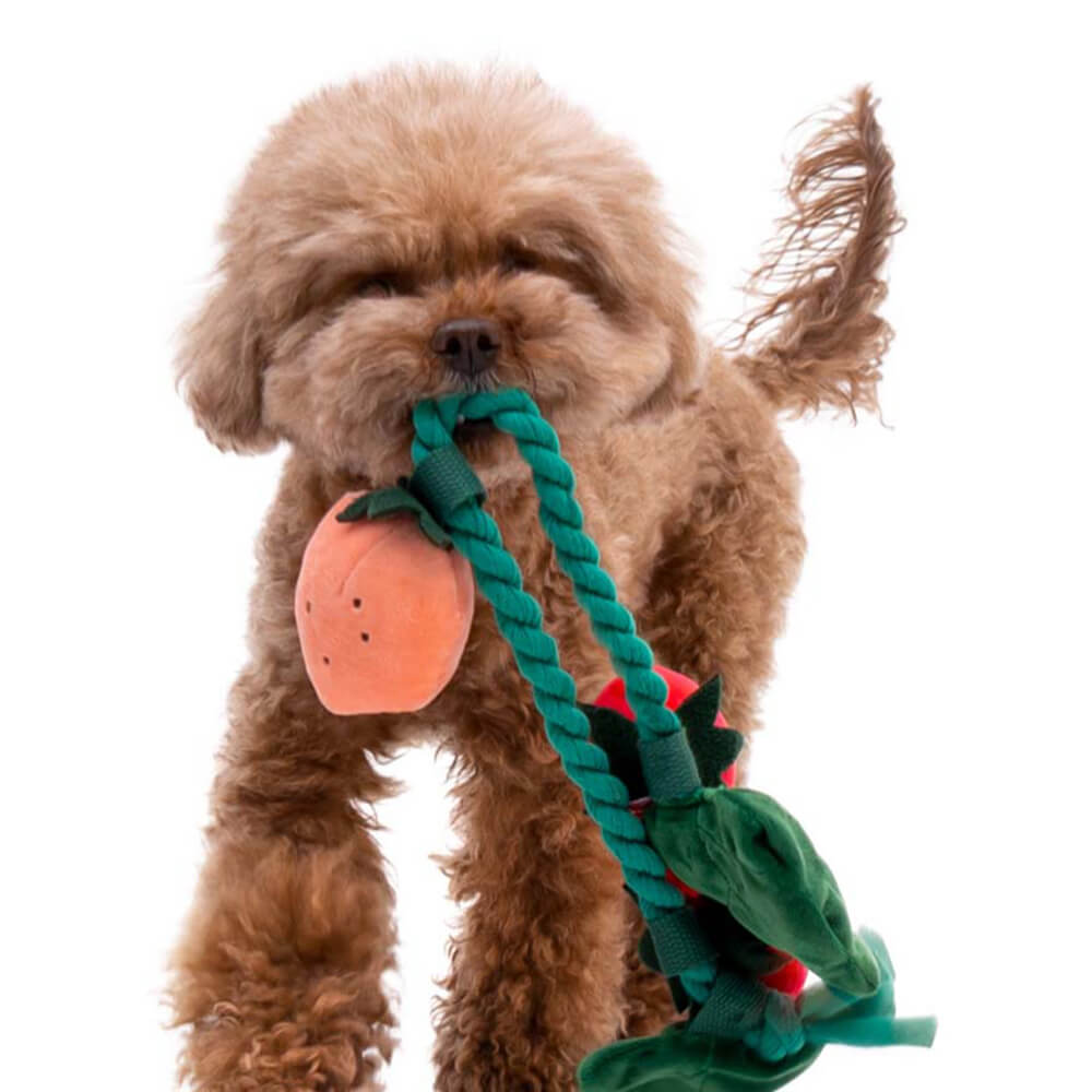 Norvo | Squeaky Dog Toy - Jordbærpotte