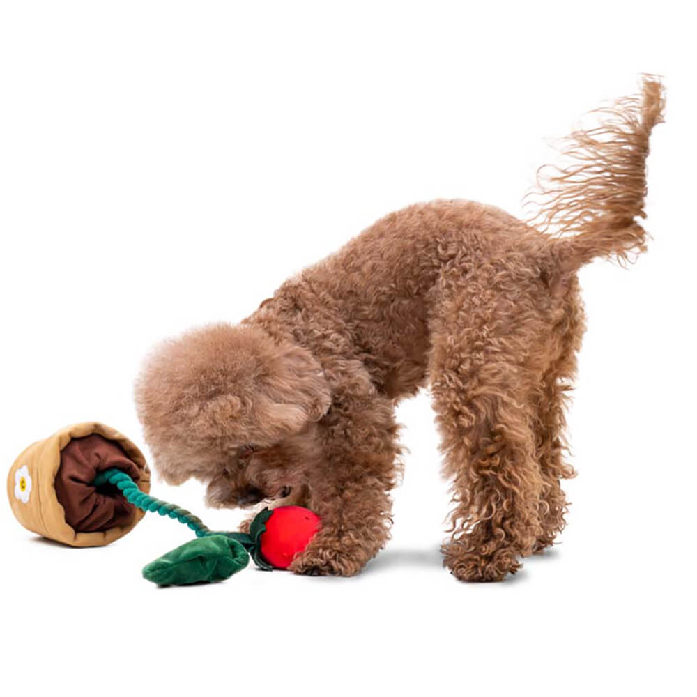 Norvo | Squeaky Dog Toy - Jordbærpotte