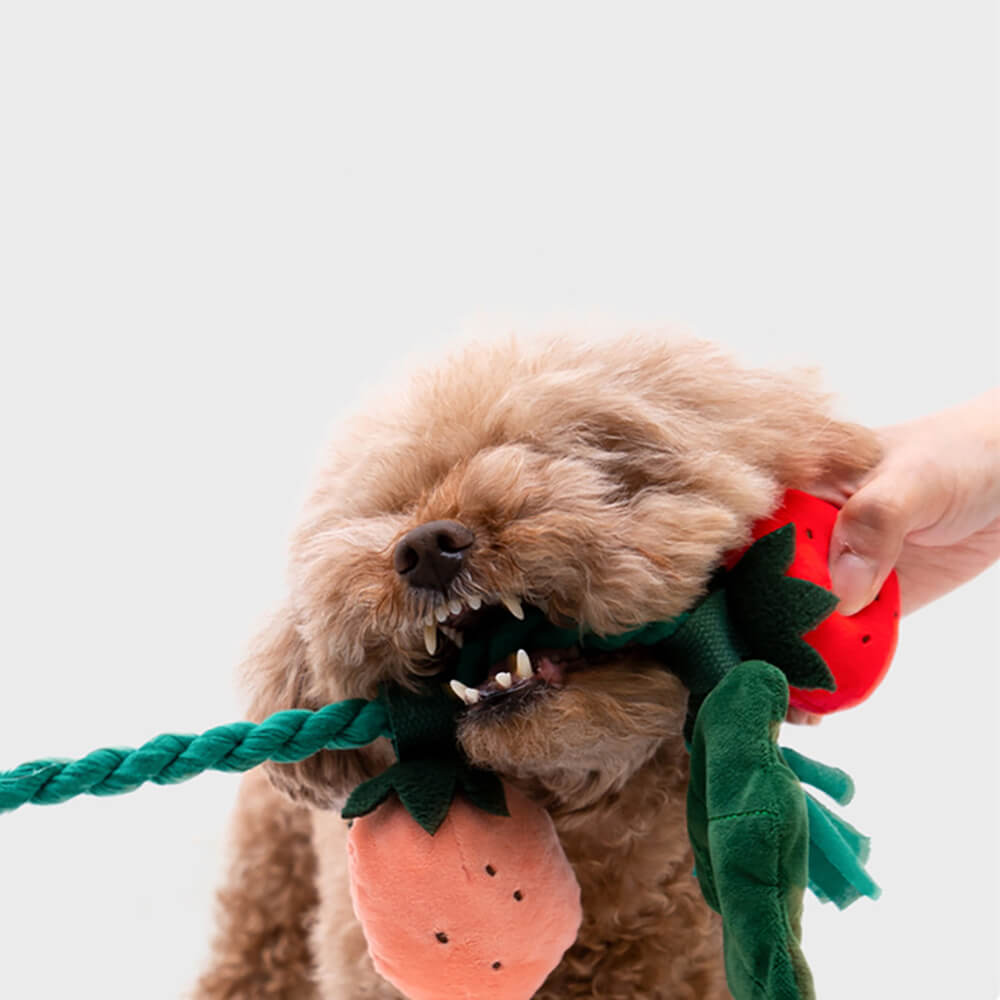 Norvo | Squeaky Dog Toy - Jordbærpotte