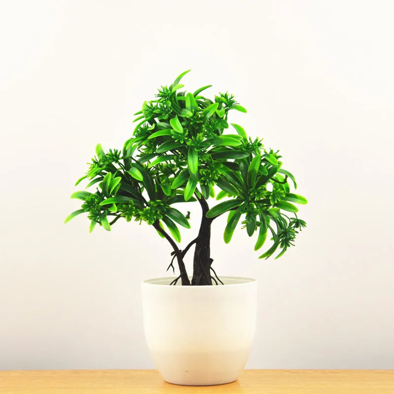 Norvo | Liten Tre Potte Bonsai Planter