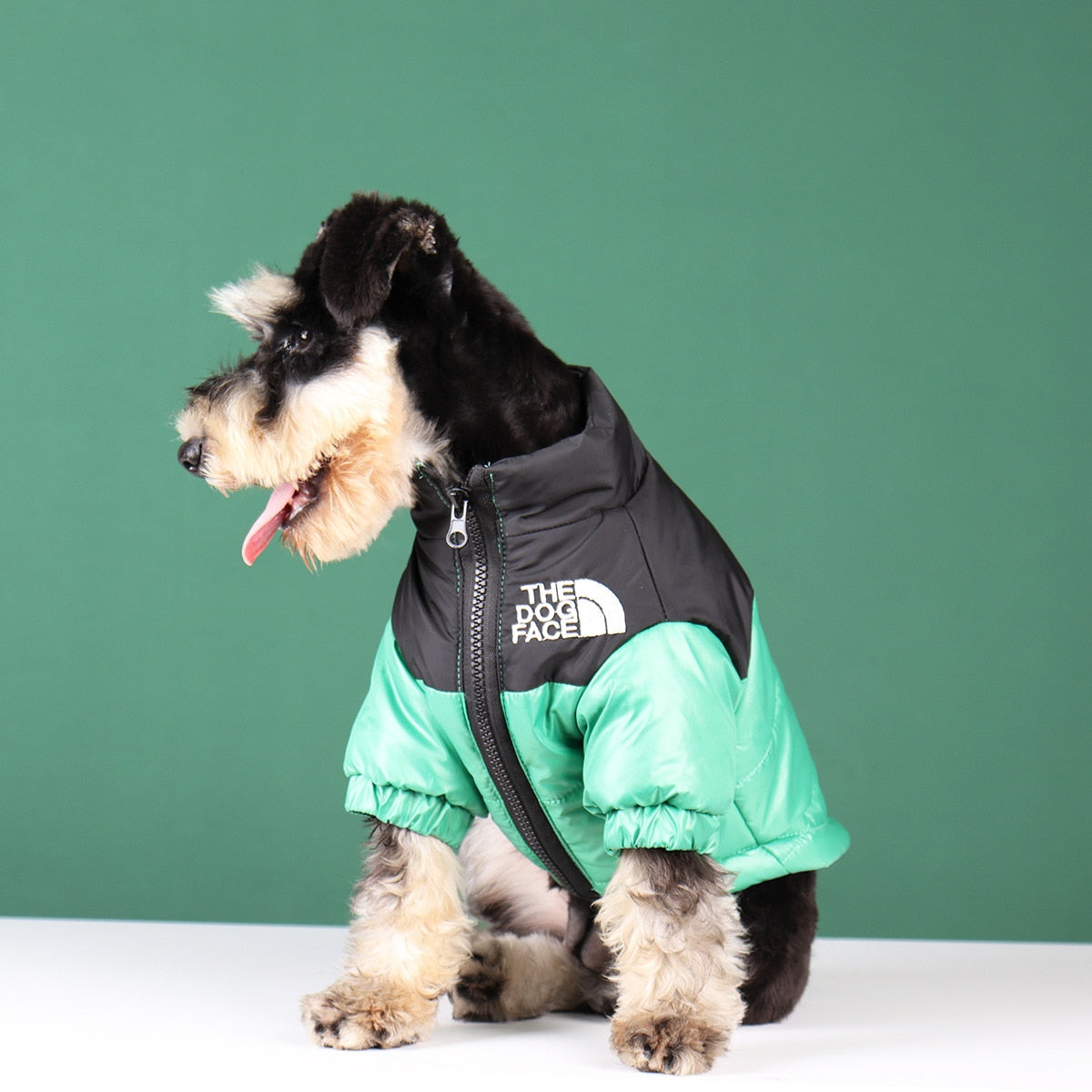Norvo | The Dog Face Jacket - Type A