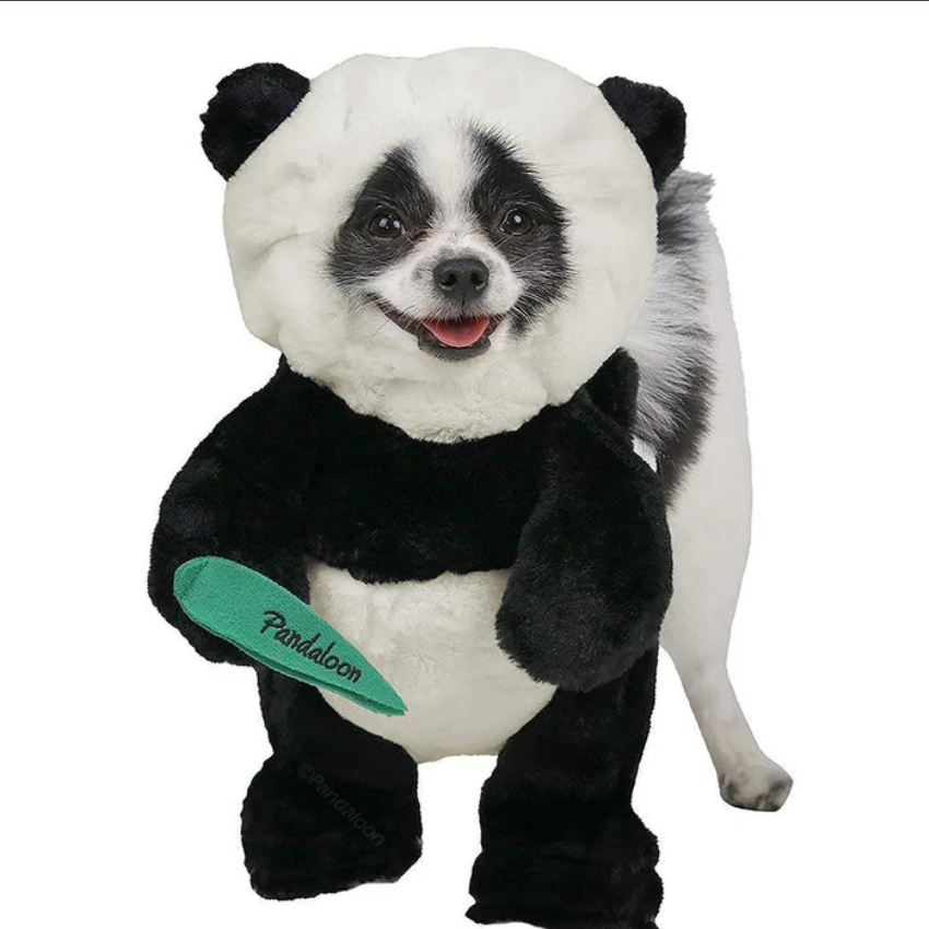 Norvo | Halloween Panda Hund Kostyme Utstyr