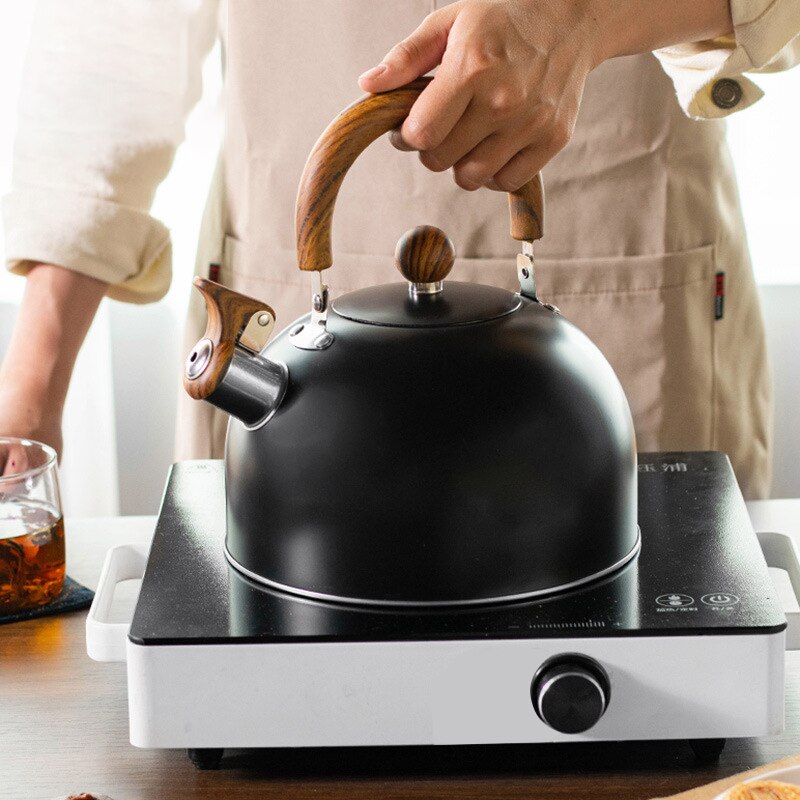 Harmony Luxe - Premium stainless steel pot with vintage elegance