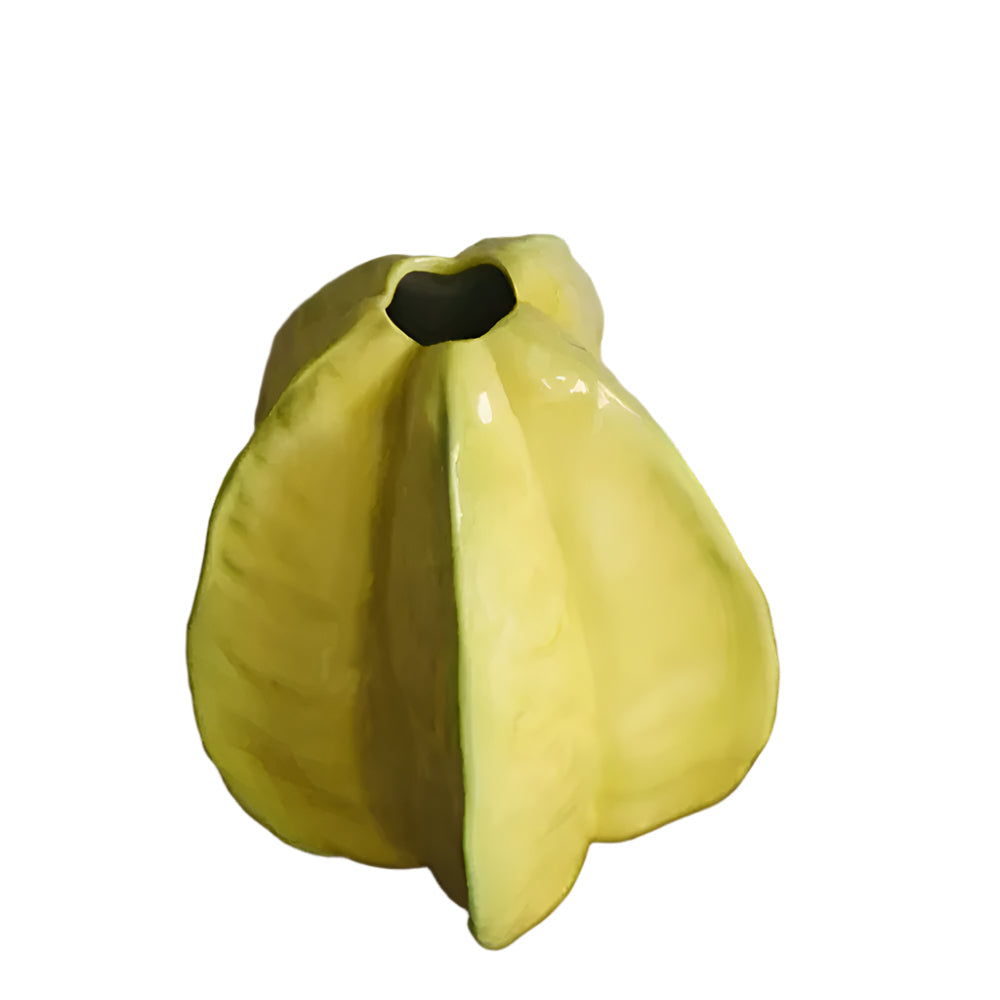 Norvo | Håndlaget Keramisk Blomsterkrukke i Stjernefruktform