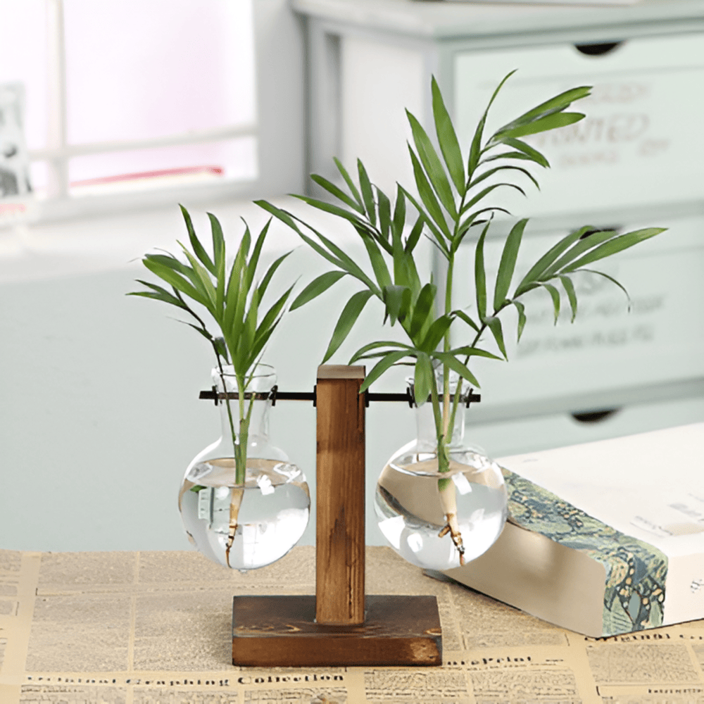 Norvo | Rustikk Tre Hydroponisk Planteholder med Glassvase