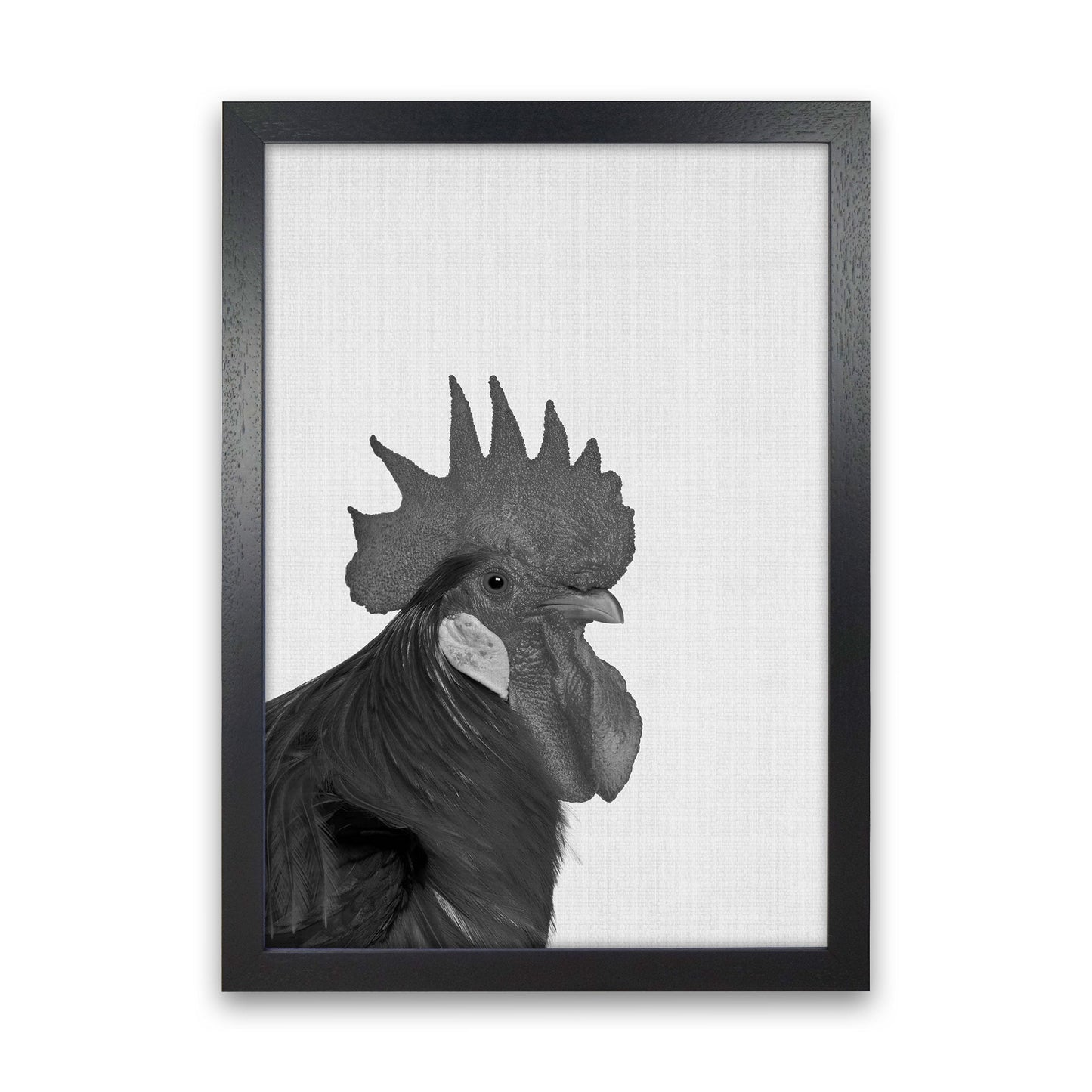 Norvo | Cock A Doodle Doo Kunsttrykk