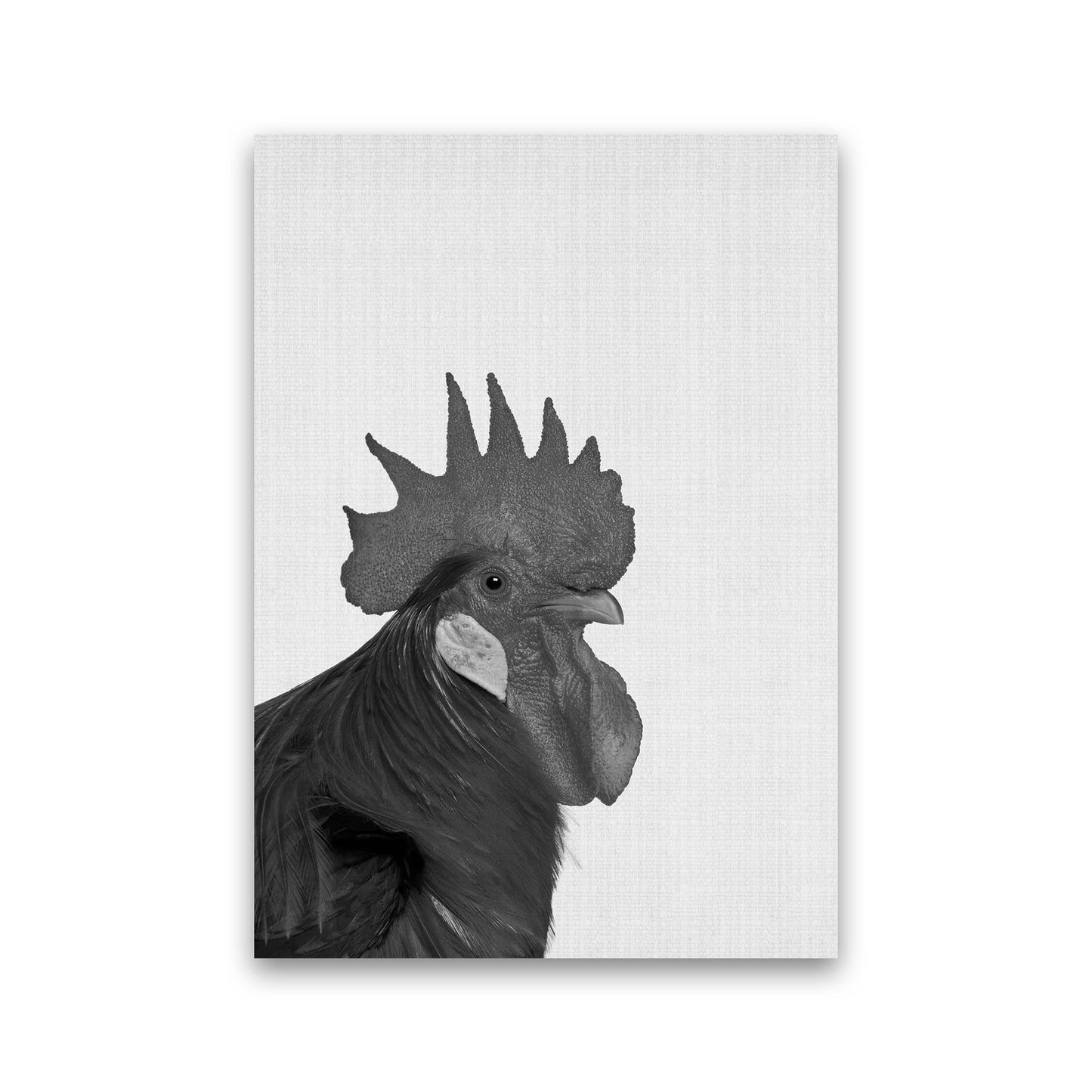 Norvo | Cock A Doodle Doo Kunsttrykk