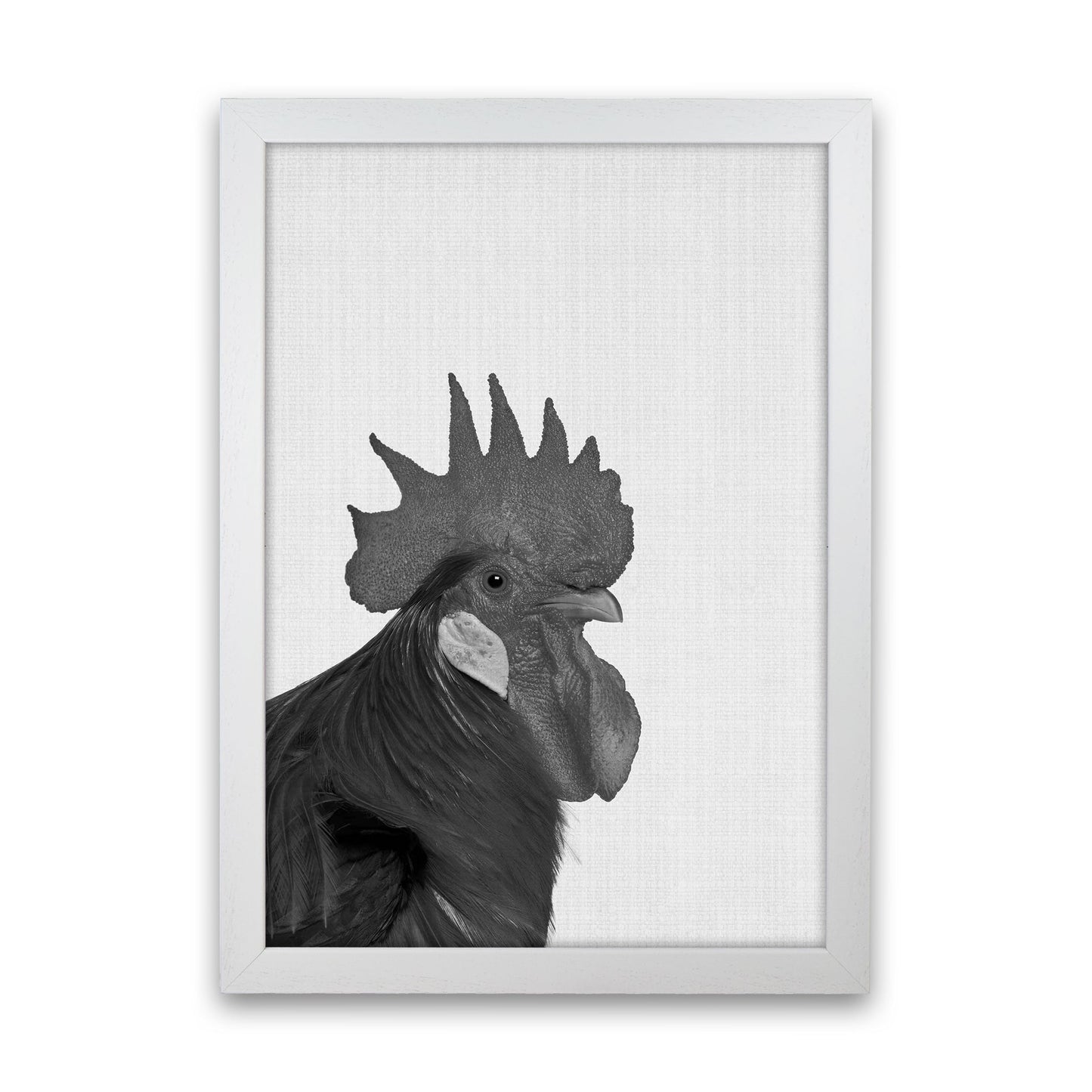 Norvo | Cock A Doodle Doo Kunsttrykk