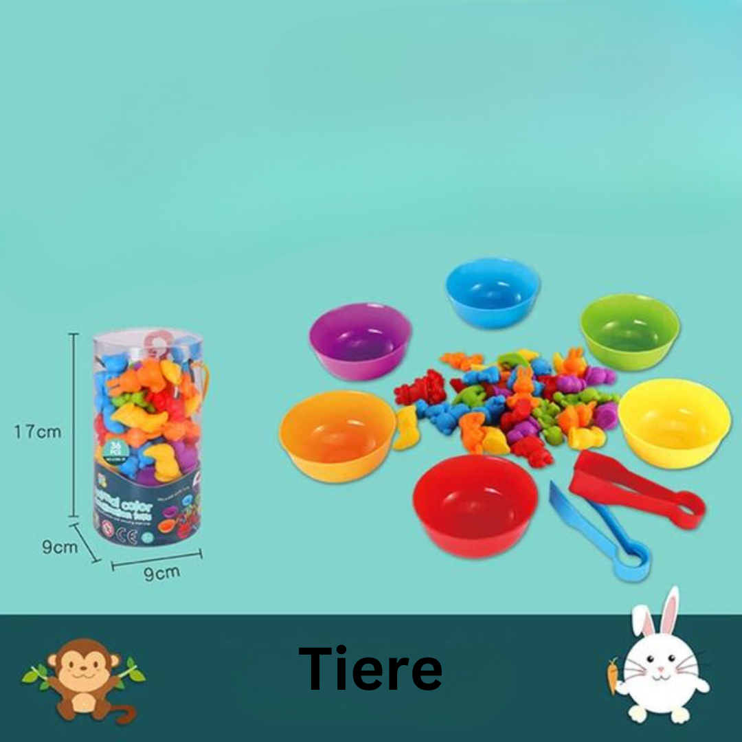 Norvo | Montessori Fargerik Sorteringsspill