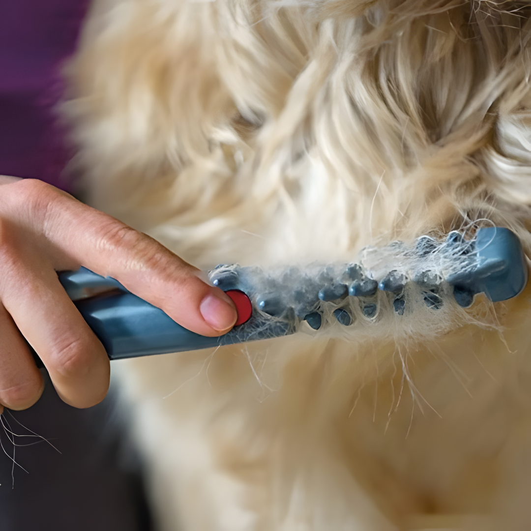 Norvo | Tangle-Free Pet Grooming Brush – Mild og effektiv utredningsbørste for katter og hunder
