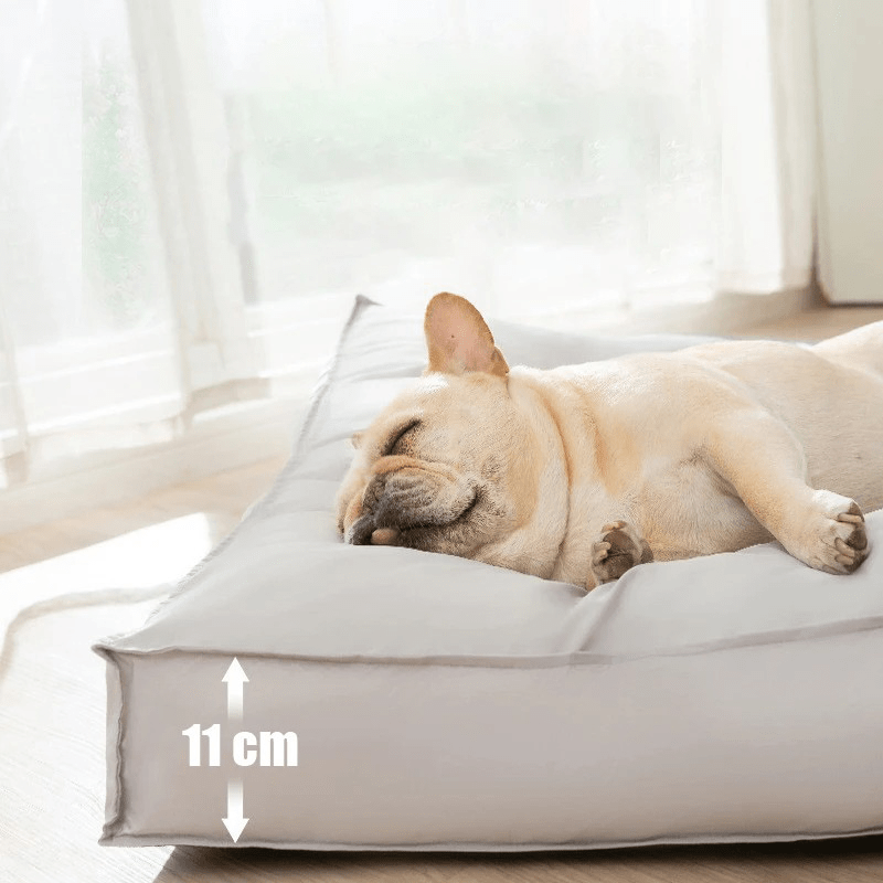 Norvo | Orthopedisk Hundeseng Vaskbar av Minne Skum, Vanntett og Ripebestandig