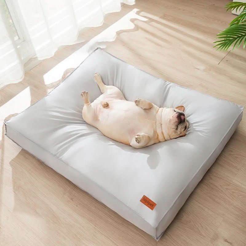 Norvo | Orthopedisk Hundeseng Vaskbar av Minne Skum, Vanntett og Ripebestandig