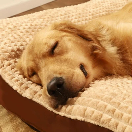 Norvo | Orthopedisk Hundeseng med Optimal Støtte & Komfort