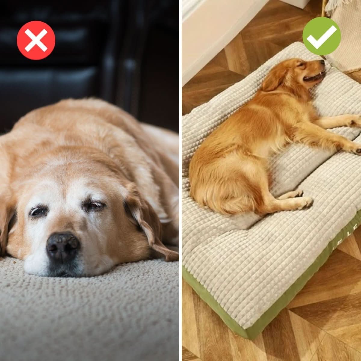 Norvo | Orthopedisk Hundeseng med Optimal Støtte & Komfort