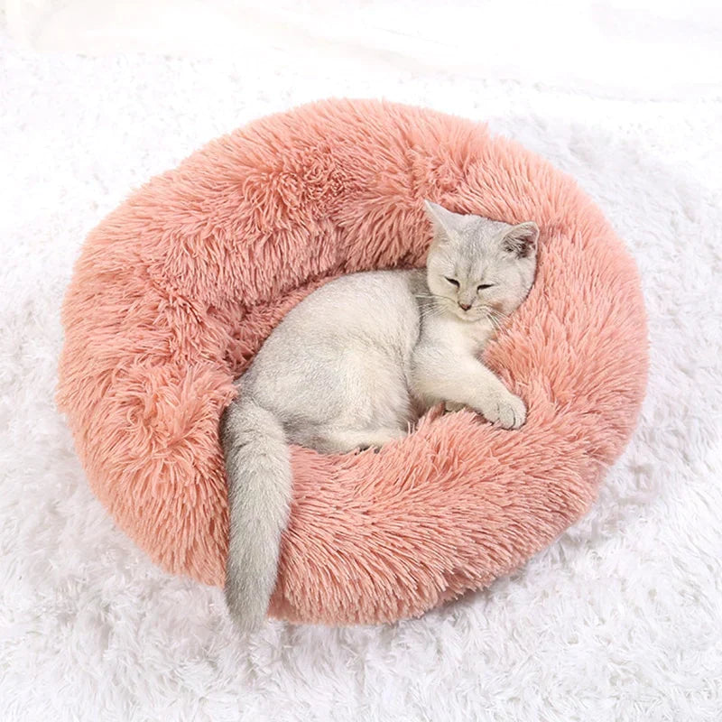 Norvo | Den ultimate kattsengen for avslapning